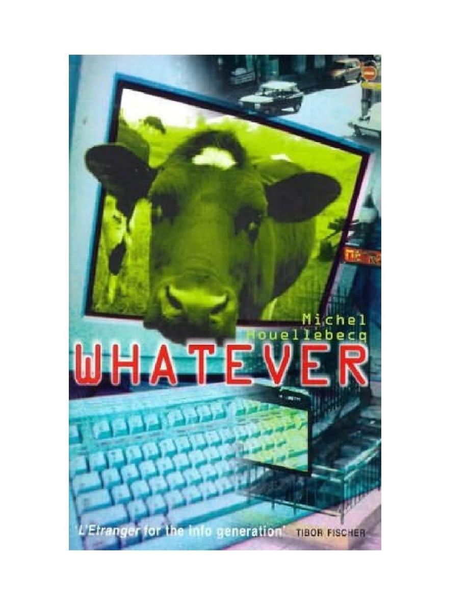 Whatever: a novel