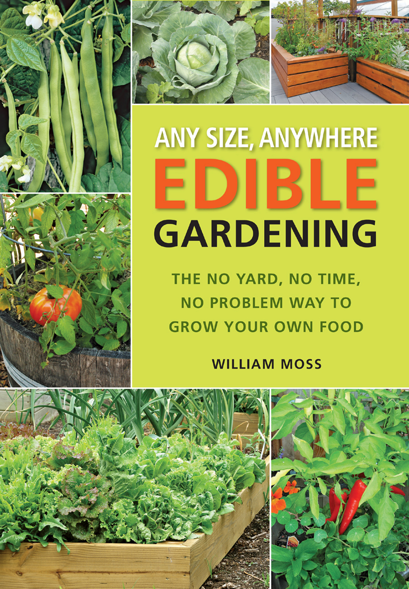 Any Size, Anywhere Edible Gardening
