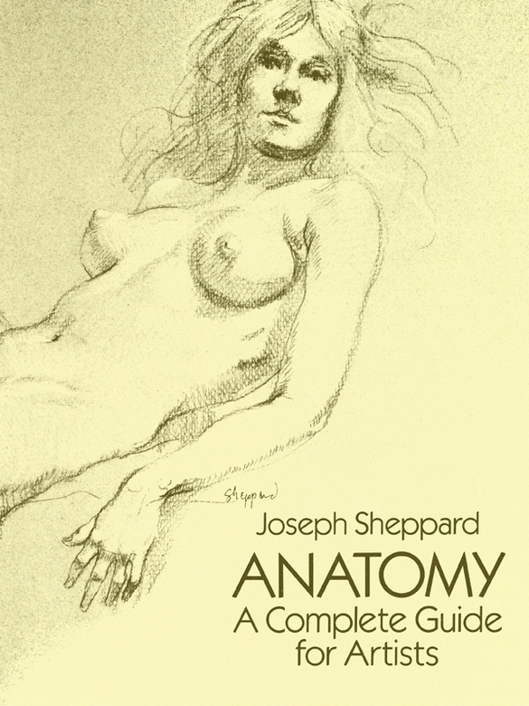 Anatomy