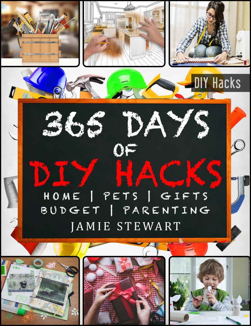 365 Days of DIY Hacks - Home, Parenting, Pets, Gifts, Budged: (DIY Household Hacks, DIY Declutter and Organize, DIY Projects, DIY Crafts, DIY Books, DIY Gift, Do It Yourself, Home Improvement, Kids)