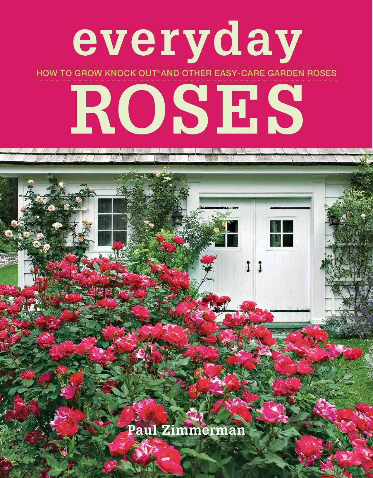 Everyday Roses How to Grow Knock Out and Other Easy-Care Garden Roses