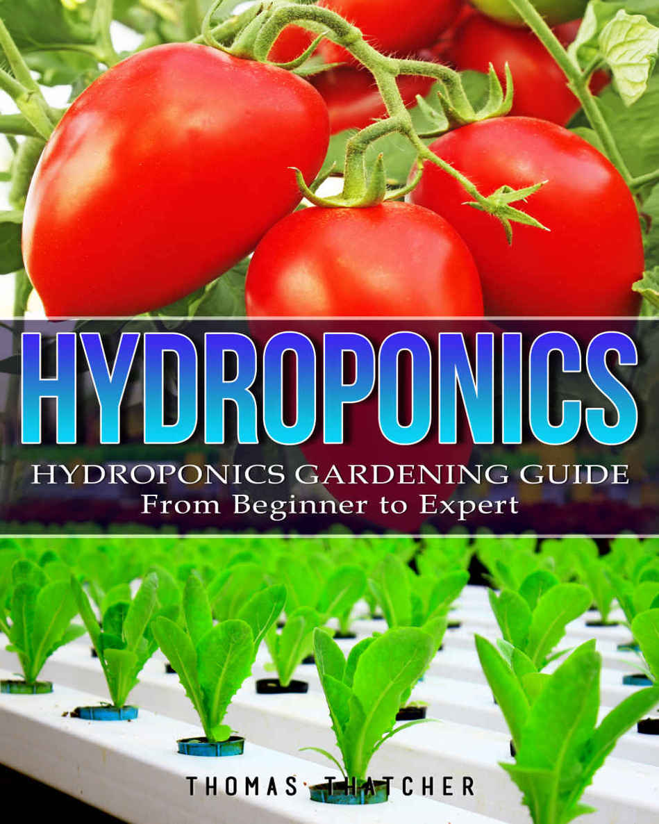 Hydroponics: Hydroponics Gardening Guide - from Beginner to Expert (Hydroponics, Aquaponics, self sufficiency, homesteading, Gardening, horticulture, Cannabis)