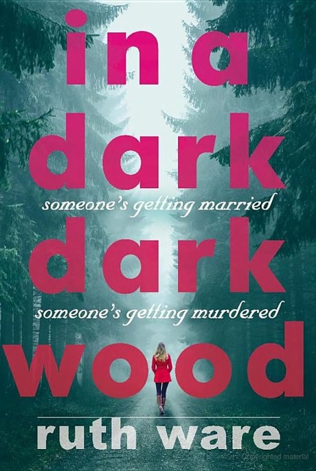 Ware, Ruth - In a Dark, Dark Wood