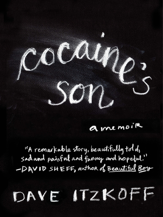 Itzkoff, Dave - Cocaine's Son