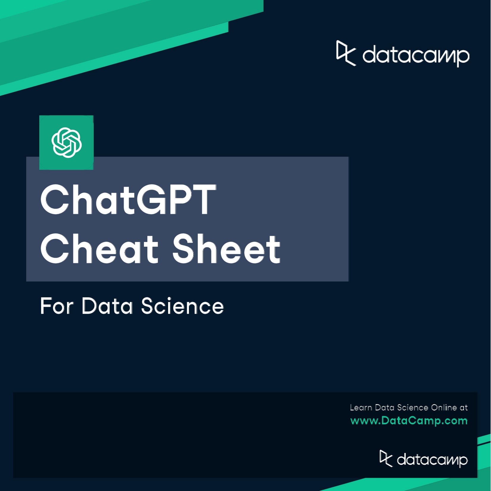 ChatGPT Cheat Sheet for Data Science by Datacamp