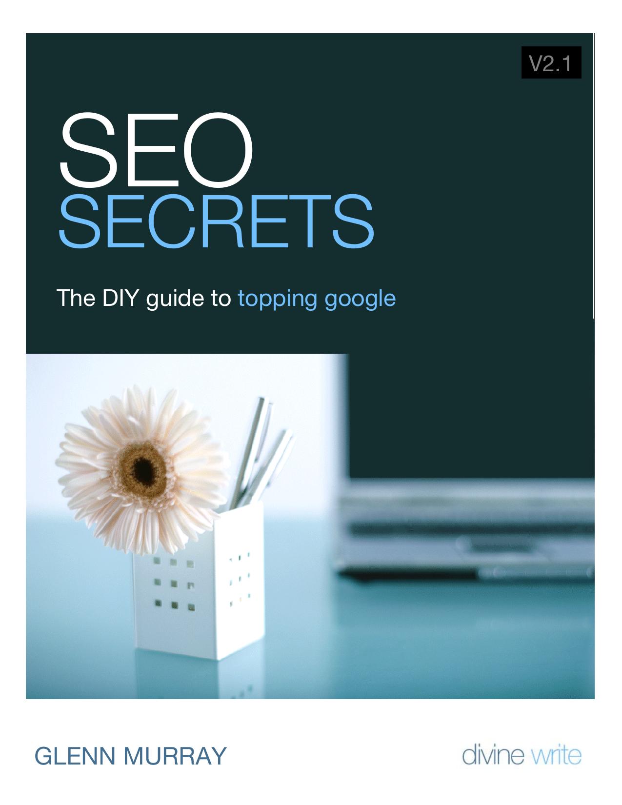 SEO Secrets - The DIY guide to topping google